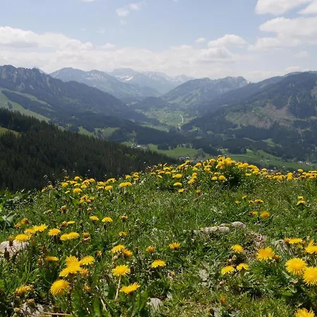 Appartement Allgauer Bergblick Pfronten