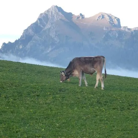 Allgauer Bergblick Appartement *